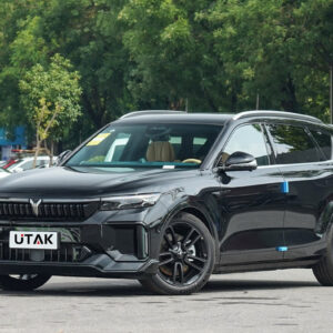 Voyah Free 2024: The Ultimate Electric SUV Experience