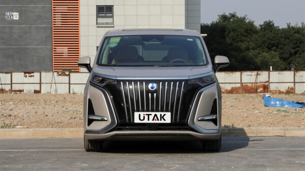 DENZA D9 2024 New Model Car