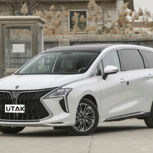 Dongfeng Forthing U-Tour Unleash the power of luxury