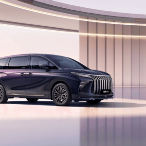 FORTHING XINGHAI V9 Deluxe Smart Power First Class