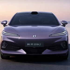 Denza Z9S (2026)